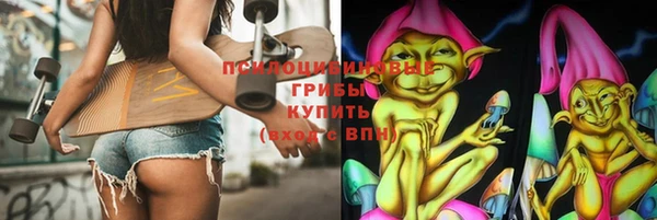 дурь Алексин
