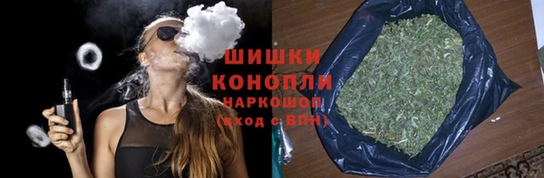 сатива Протвино