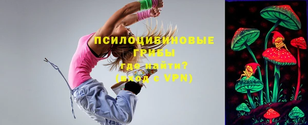 соль ск Алзамай