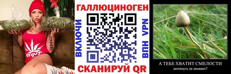 Псилоцибиновые грибы прущие грибы  как найти закладки  Бирюч 